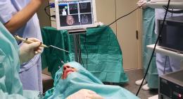 NESS – navigation endoscopic sinus surgery with virtual endoscopy (VE), virtual surgery (VS) and LM; in many cases, when entering sensor active area, the surgeon would keep an open hand (active state) which mostly resulted with sudden change in position and loosing orientation in space