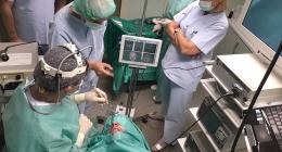 NESS – navigation endoscopic sinus surgery with virtual endoscopy (VE) as well as with virtual surgery (VS); the first evaluation of our system allowed us to observe users operating 3DVR and VE and adopting the principles of our proposed contactless interface